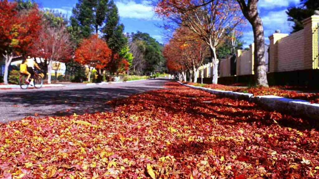 Vantagens de morar em Gramado